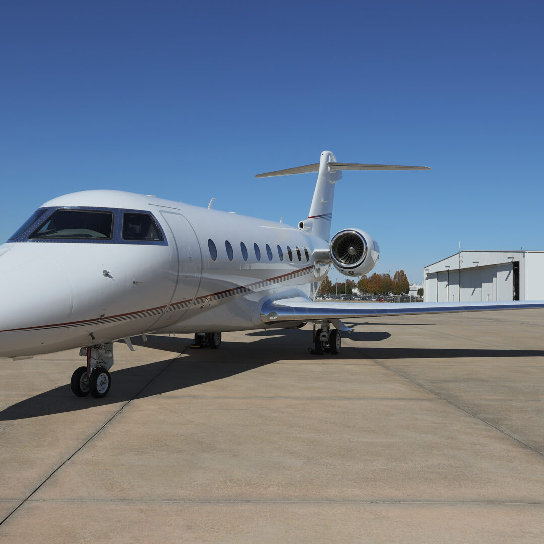 【中古】ゴーイング・プライベート(非公開化)のすべて 空飛ぶ旅のコンシェルジェ「VistaJet」でいつでもプライベートジェット